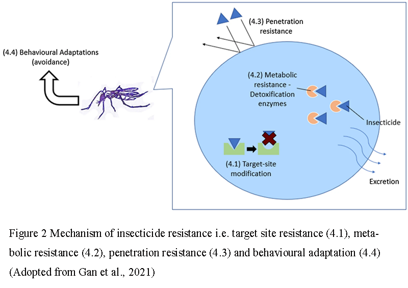 Public Health Implications of Bt-based Mosquito Control Programs | Lin ...