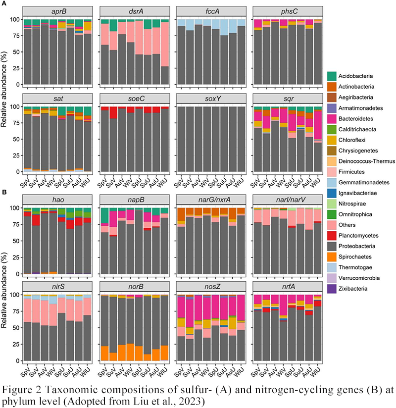 Roles of Marine Microorganisms in the Carbon, Nitrogen, and Sulfur ...